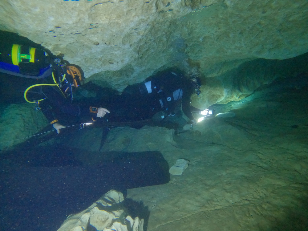 Dayo Scuba Center LLC, Orlando Florida www.dayo.com