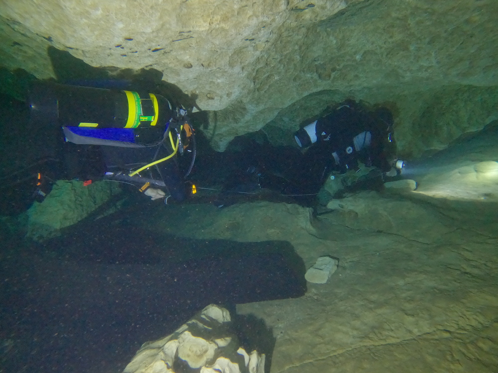 Dayo Scuba Center LLC, Orlando Florida www.dayo.com