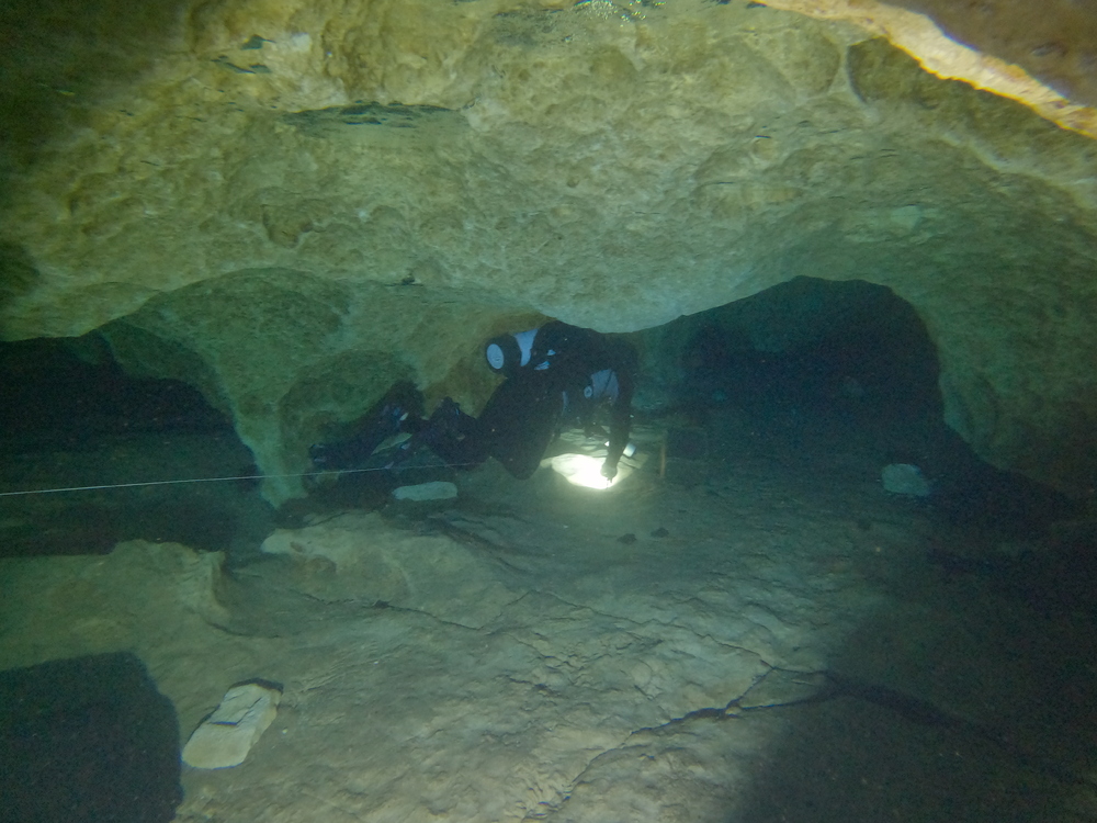 Dayo Scuba Center LLC, Orlando Florida www.dayo.com