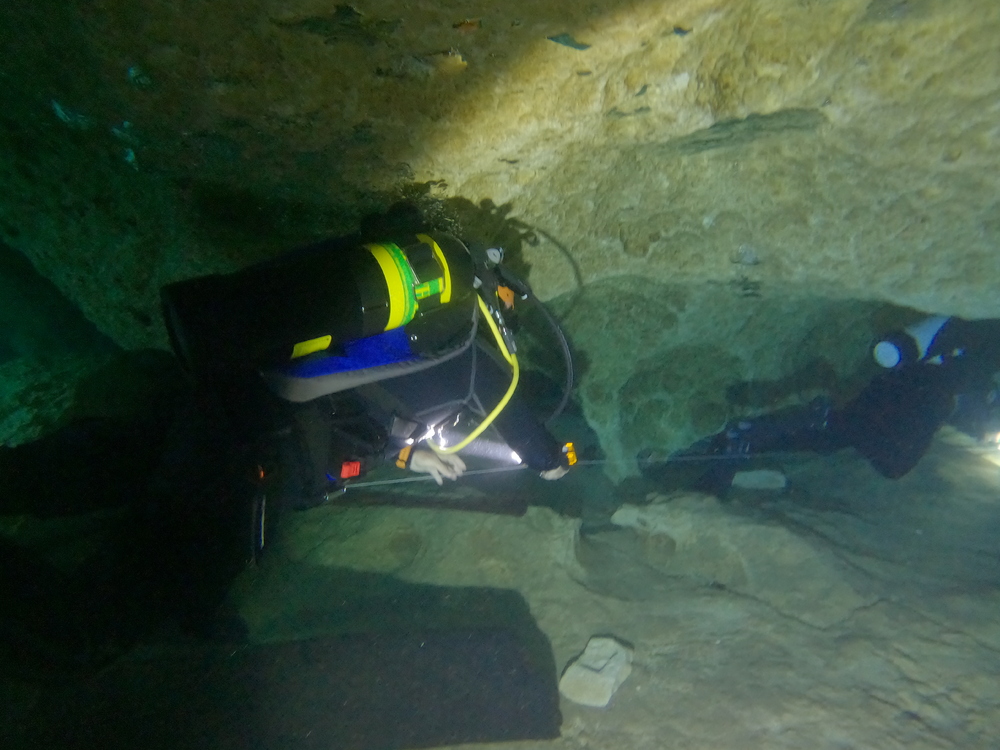 Dayo Scuba Center LLC, Orlando Florida www.dayo.com