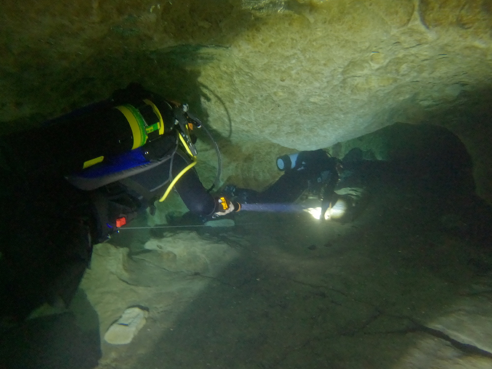 Dayo Scuba Center LLC, Orlando Florida www.dayo.com