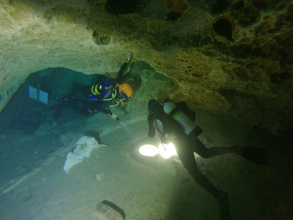 Dayo Scuba Center LLC, Orlando Florida www.dayo.com