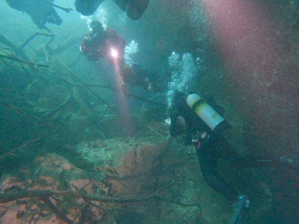 Dayo Scuba Center LLC, Orlando Florida www.dayo.com