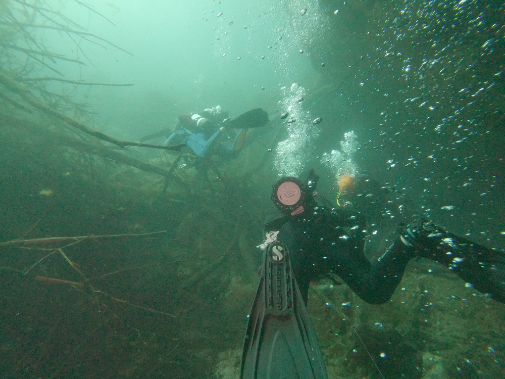 Dayo Scuba Center LLC, Orlando Florida www.dayo.com