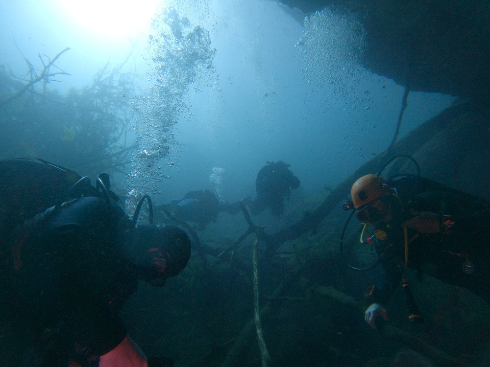 Dayo Scuba Center LLC, Orlando Florida www.dayo.com