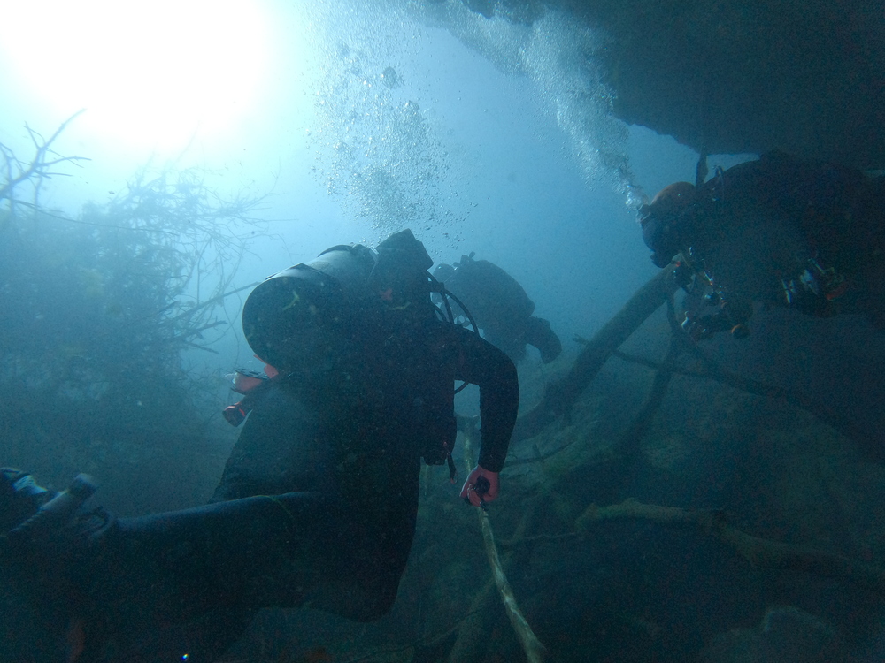 Dayo Scuba Center LLC, Orlando Florida www.dayo.com