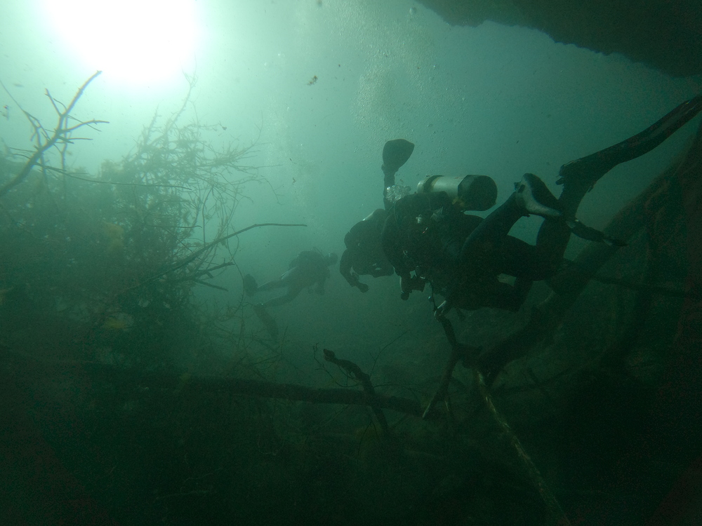 Dayo Scuba Center LLC, Orlando Florida www.dayo.com