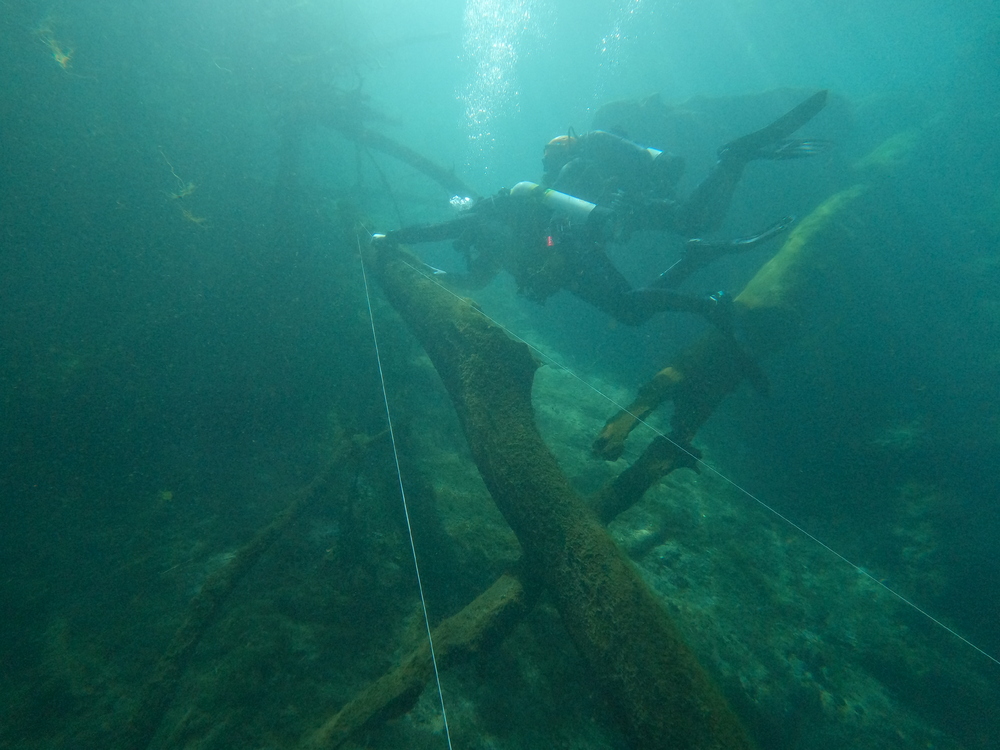 Dayo Scuba Center LLC, Orlando Florida www.dayo.com