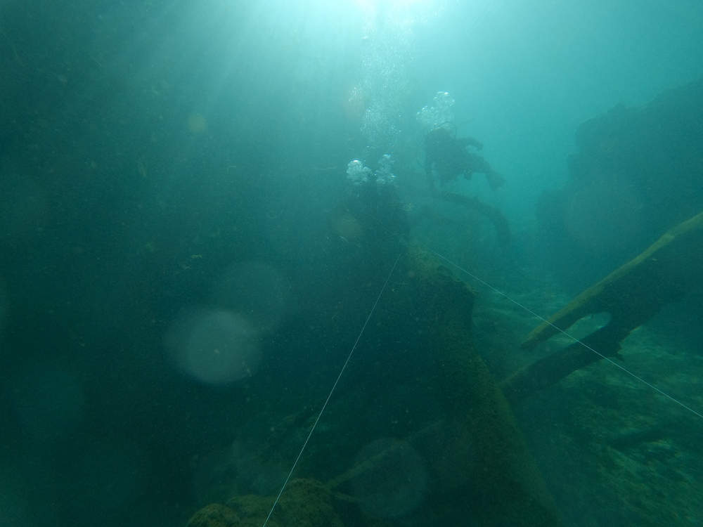 Dayo Scuba Center LLC, Orlando Florida www.dayo.com