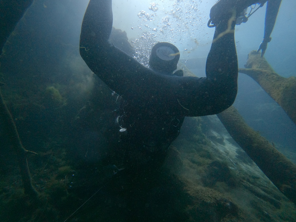 Dayo Scuba Center LLC, Orlando Florida www.dayo.com
