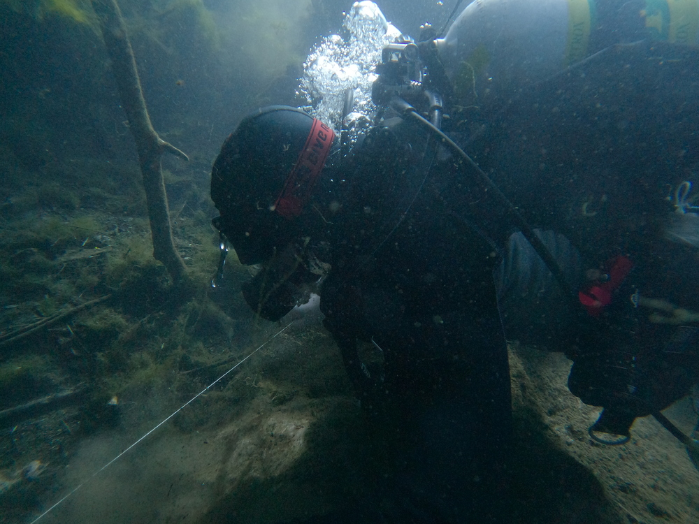 Dayo Scuba Center LLC, Orlando Florida www.dayo.com