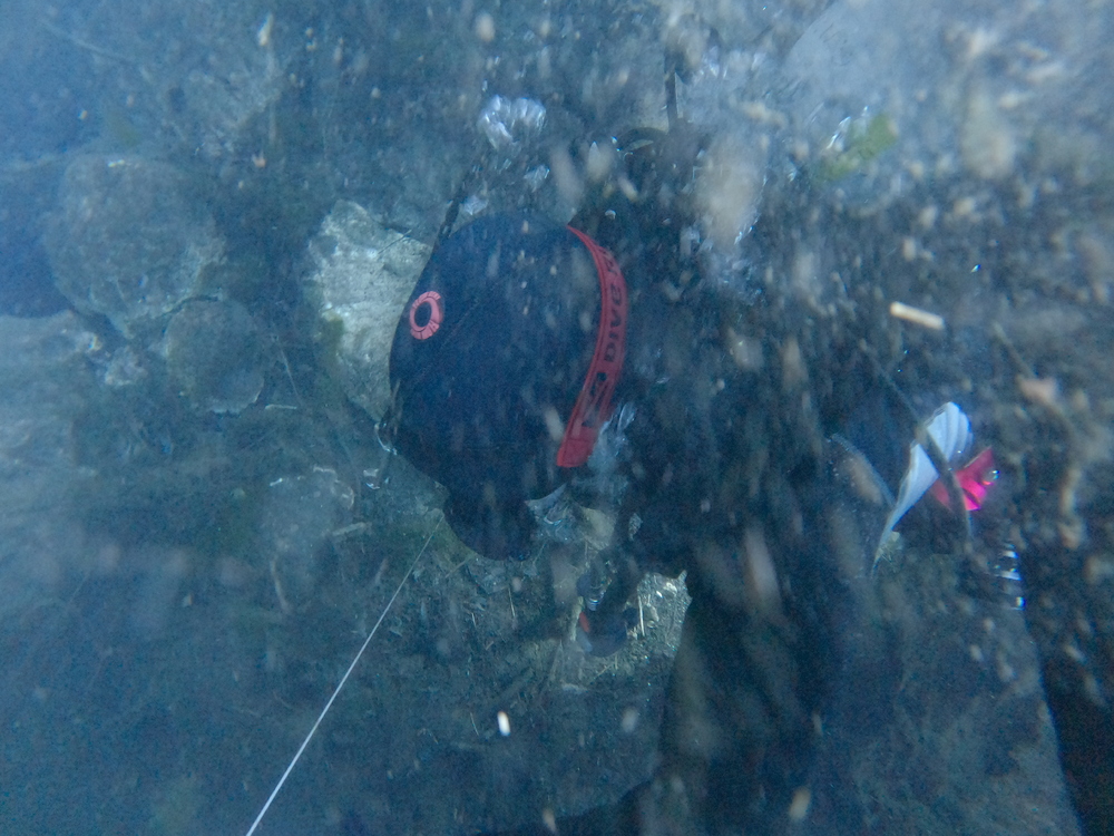 Dayo Scuba Center LLC, Orlando Florida www.dayo.com