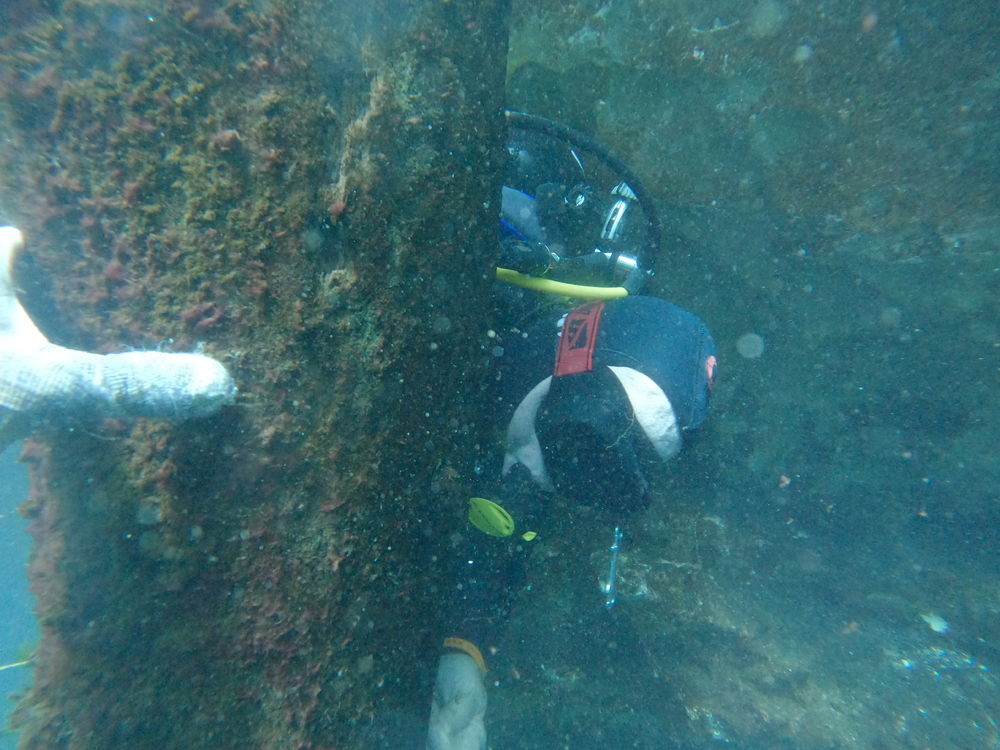 Dayo Scuba Center LLC, Orlando Florida www.dayo.com