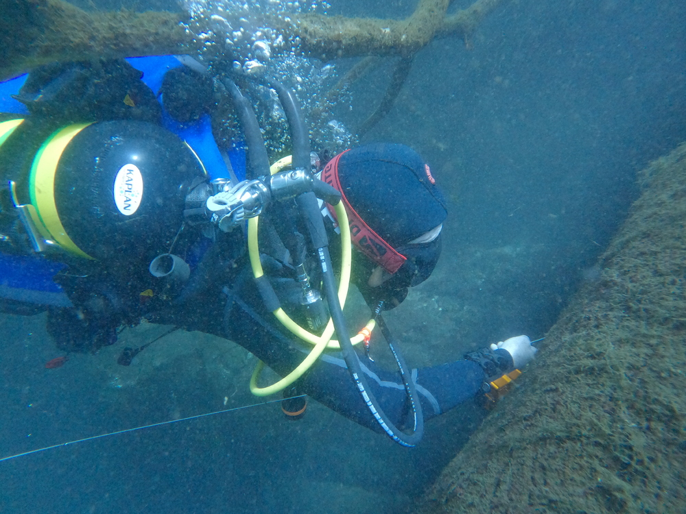 Dayo Scuba Center LLC, Orlando Florida www.dayo.com