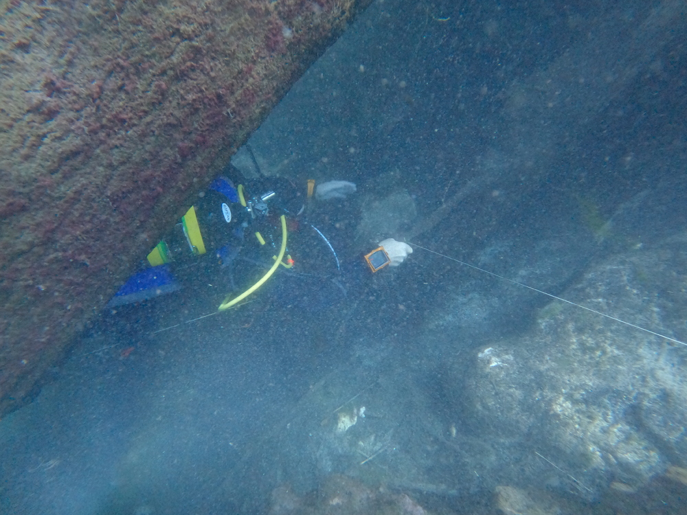 Dayo Scuba Center LLC, Orlando Florida www.dayo.com