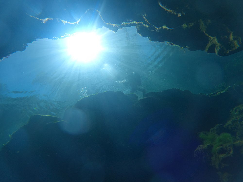 Dayo Scuba Center LLC, Orlando Florida www.dayo.com