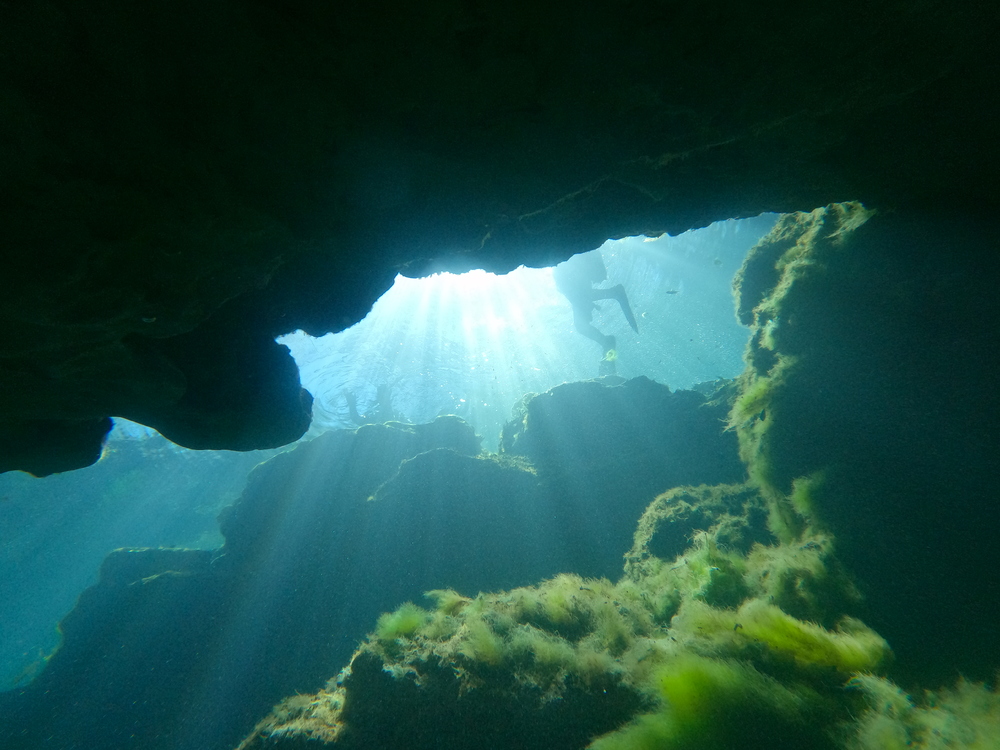 Dayo Scuba Center LLC, Orlando Florida www.dayo.com