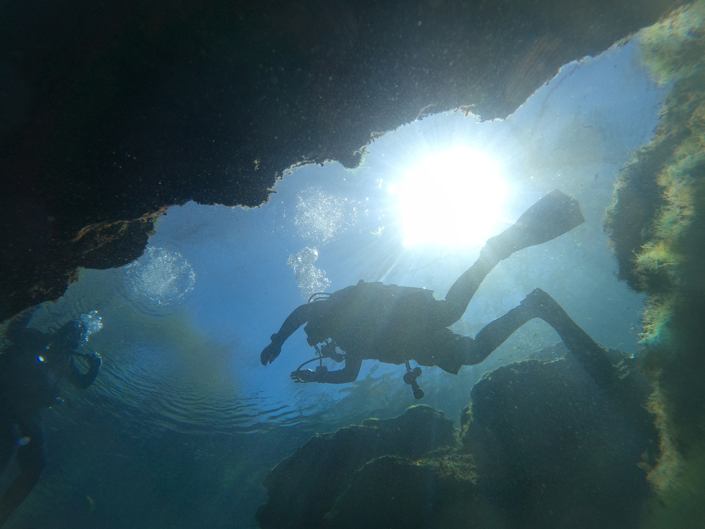 Dayo Scuba Center LLC, Orlando Florida www.dayo.com