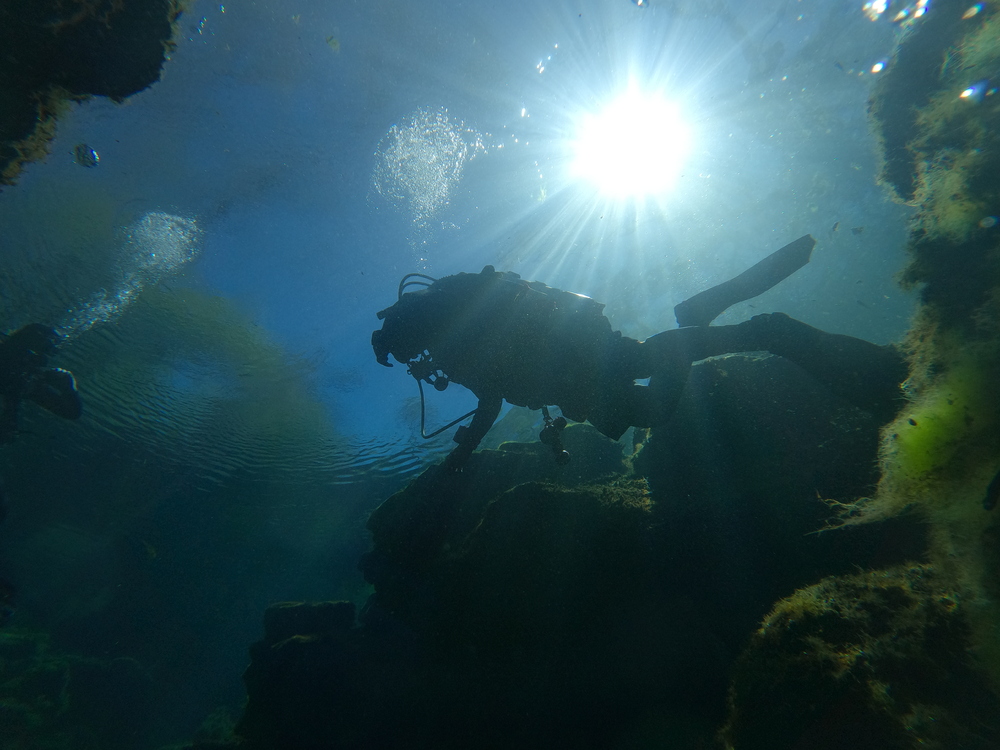 Dayo Scuba Center LLC, Orlando Florida www.dayo.com