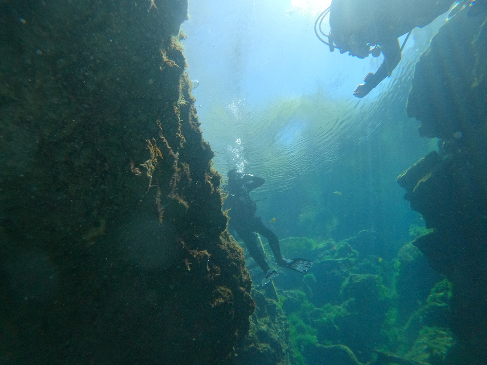 Dayo Scuba Center LLC, Orlando Florida www.dayo.com