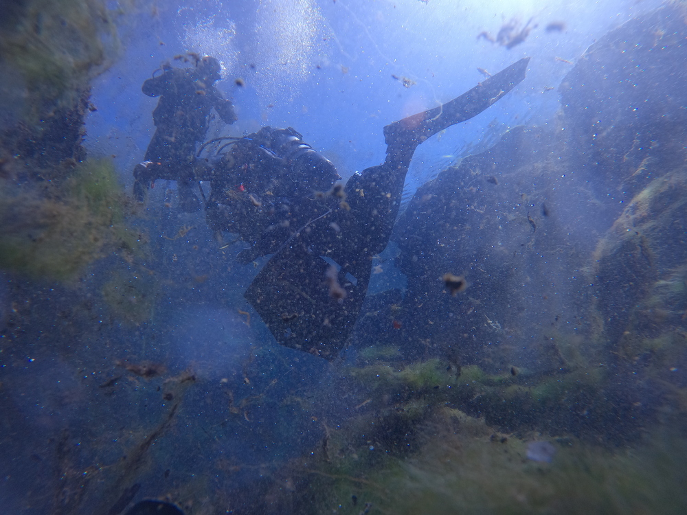 Dayo Scuba Center LLC, Orlando Florida www.dayo.com