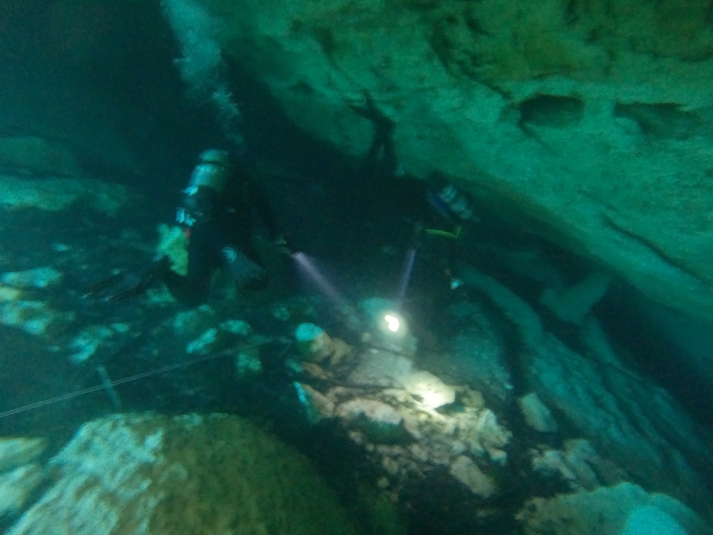 Dayo Scuba Center LLC, Orlando Florida www.dayo.com