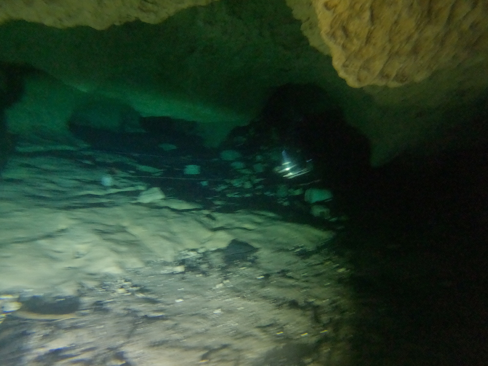 Dayo Scuba Center LLC, Orlando Florida www.dayo.com