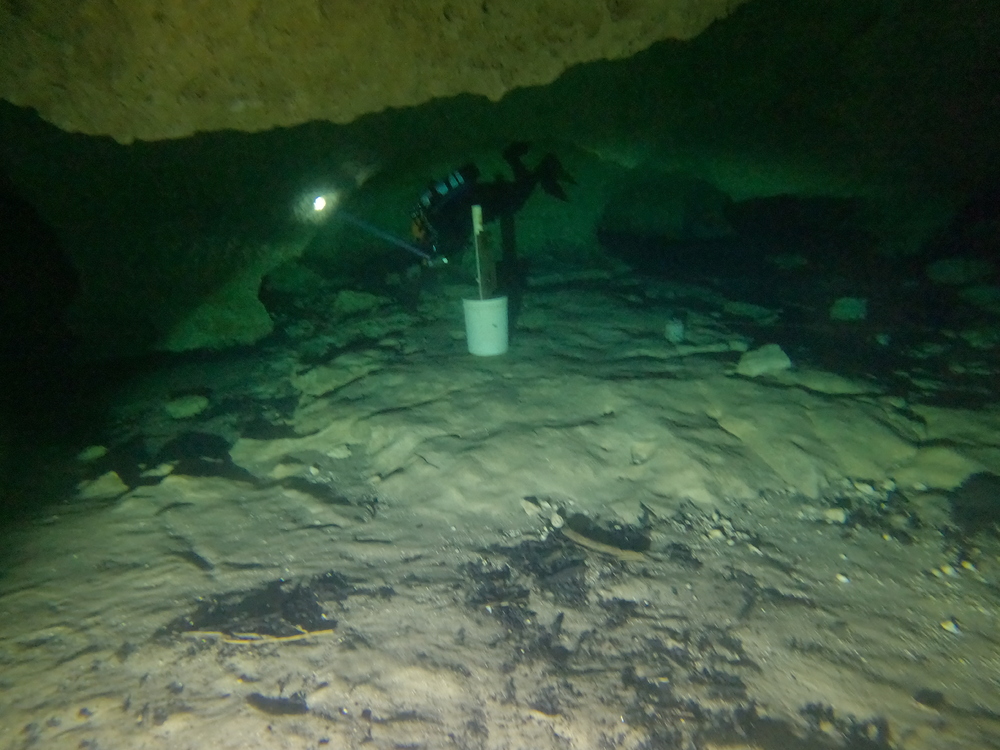 Dayo Scuba Center LLC, Orlando Florida www.dayo.com