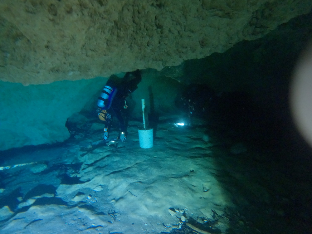 Dayo Scuba Center LLC, Orlando Florida www.dayo.com