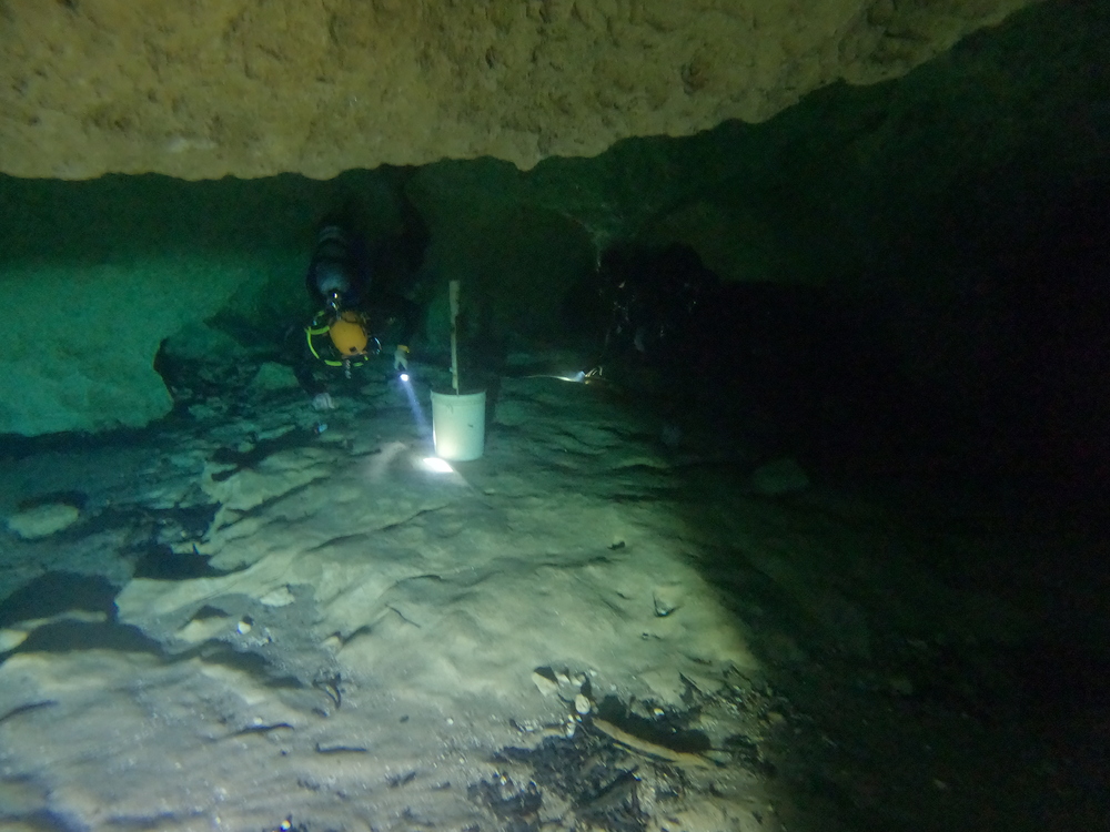 Dayo Scuba Center LLC, Orlando Florida www.dayo.com