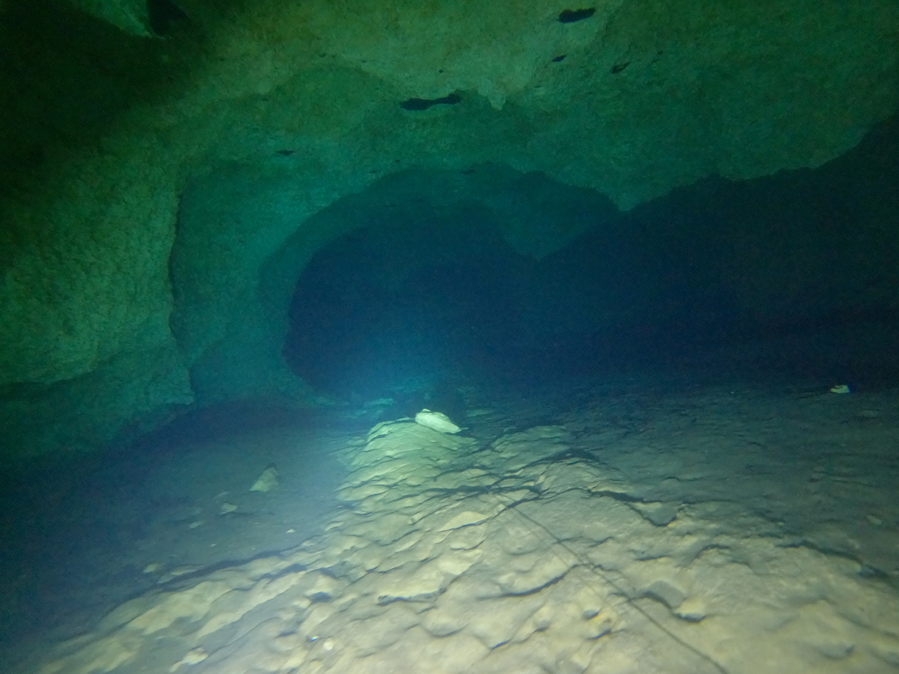 Dayo Scuba Center LLC, Orlando Florida www.dayo.com