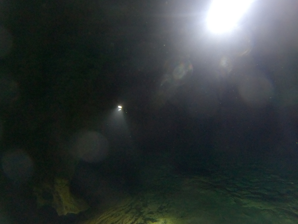 Dayo Scuba Center LLC, Orlando Florida www.dayo.com