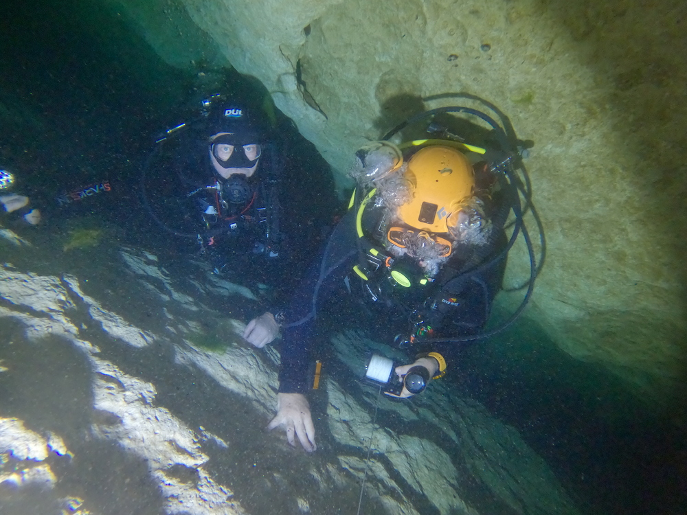 Dayo Scuba Center LLC, Orlando Florida www.dayo.com