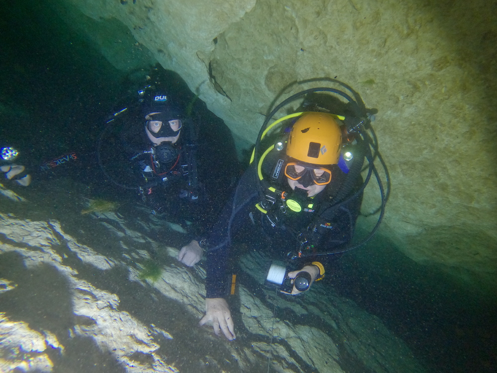 Dayo Scuba Center LLC, Orlando Florida www.dayo.com
