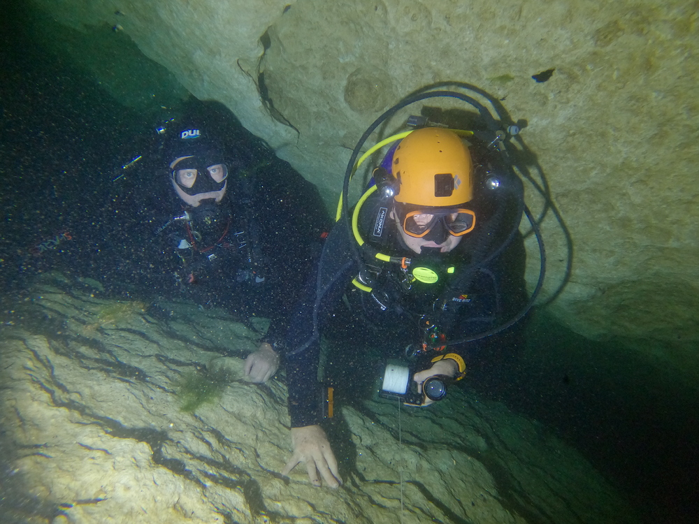 Dayo Scuba Center LLC, Orlando Florida www.dayo.com