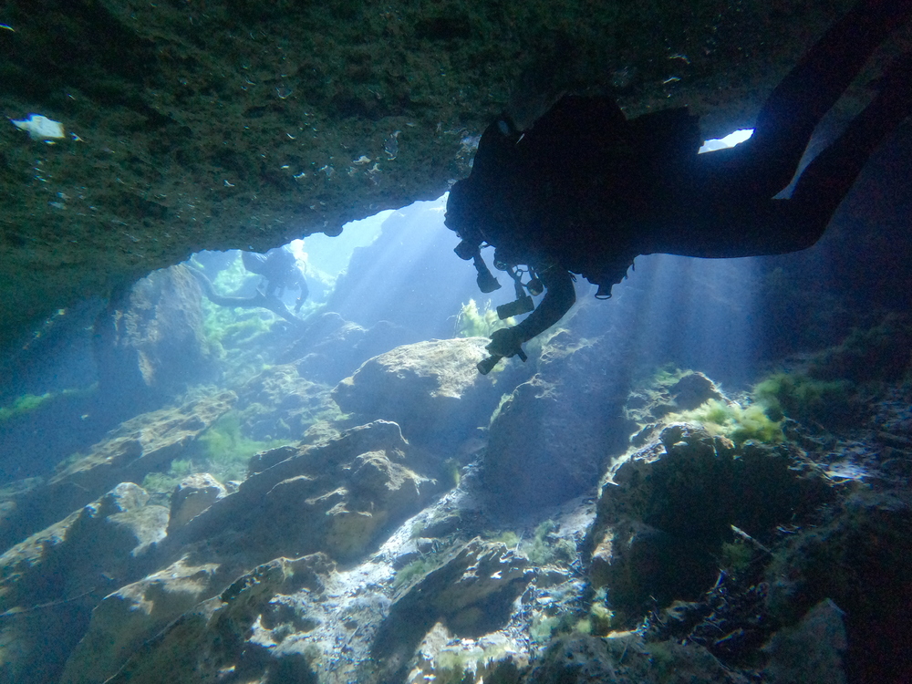 Dayo Scuba Center LLC, Orlando Florida www.dayo.com
