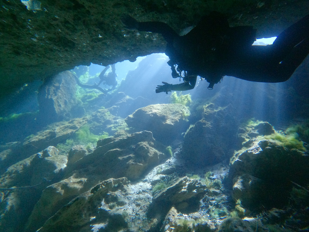 Dayo Scuba Center LLC, Orlando Florida www.dayo.com