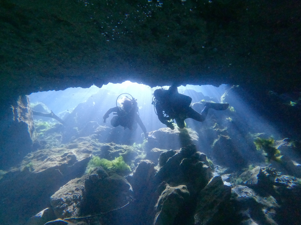 Dayo Scuba Center LLC, Orlando Florida www.dayo.com