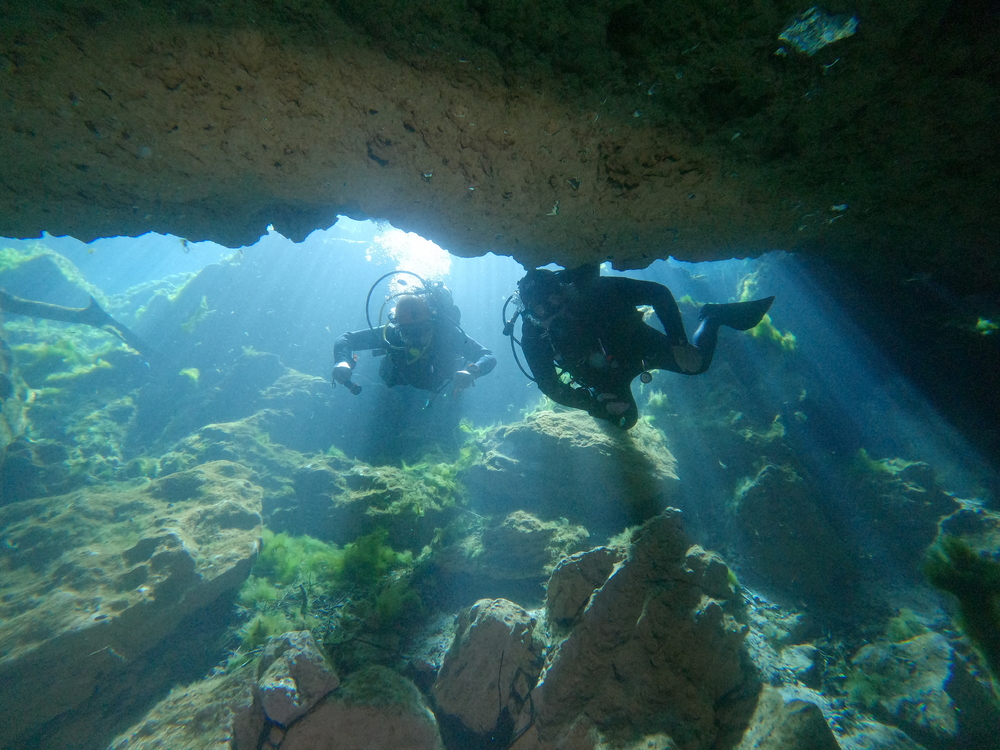 Dayo Scuba Center LLC, Orlando Florida www.dayo.com