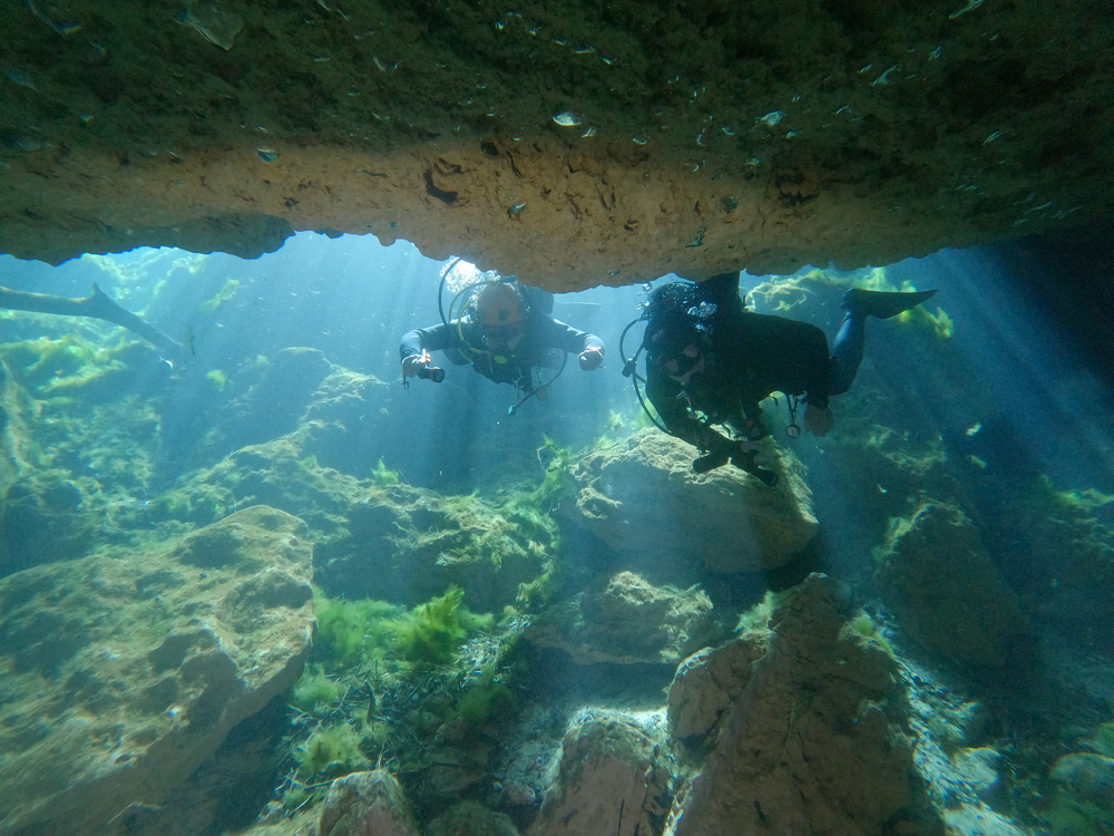 Dayo Scuba Center LLC, Orlando Florida www.dayo.com
