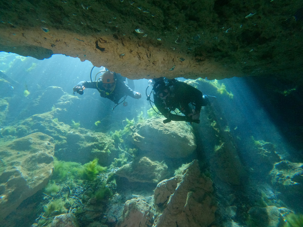Dayo Scuba Center LLC, Orlando Florida www.dayo.com