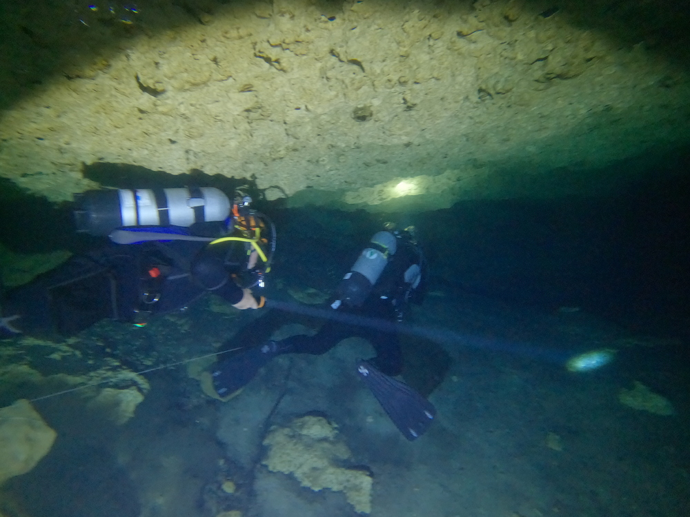 Dayo Scuba Center LLC, Orlando Florida www.dayo.com