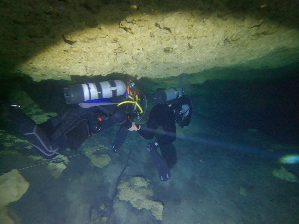 Dayo Scuba Center LLC, Orlando Florida www.dayo.com