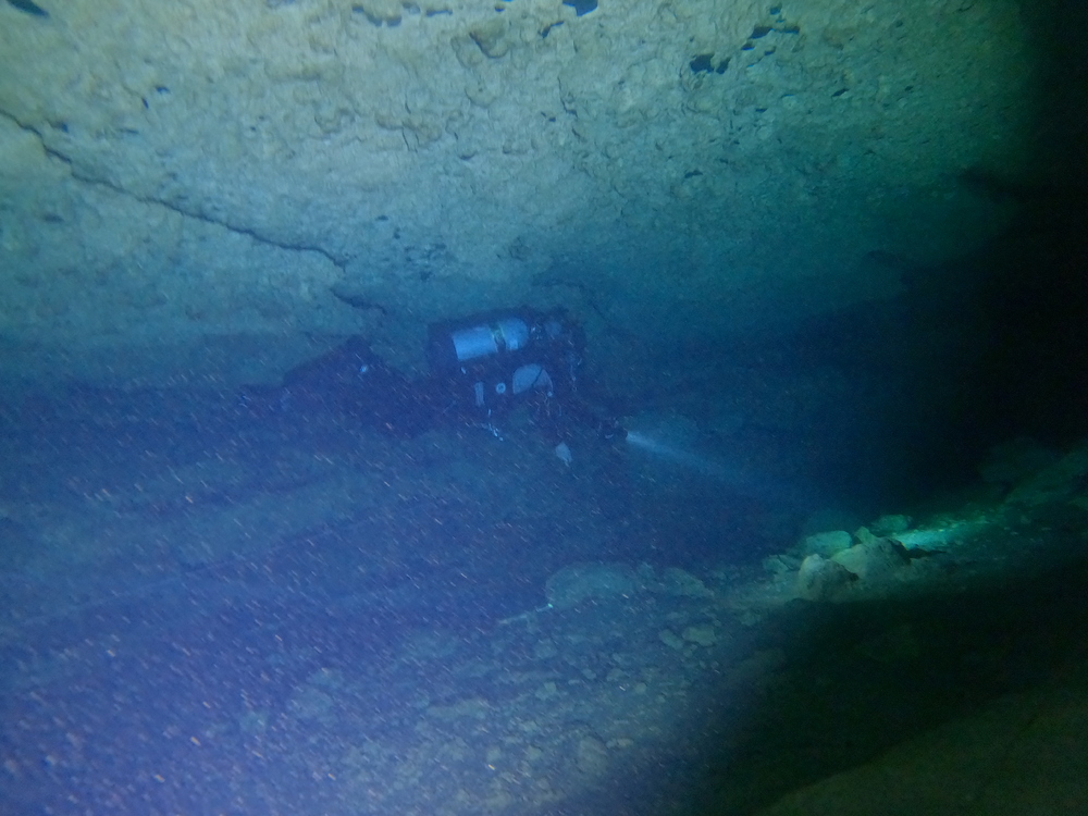 Dayo Scuba Center LLC, Orlando Florida www.dayo.com