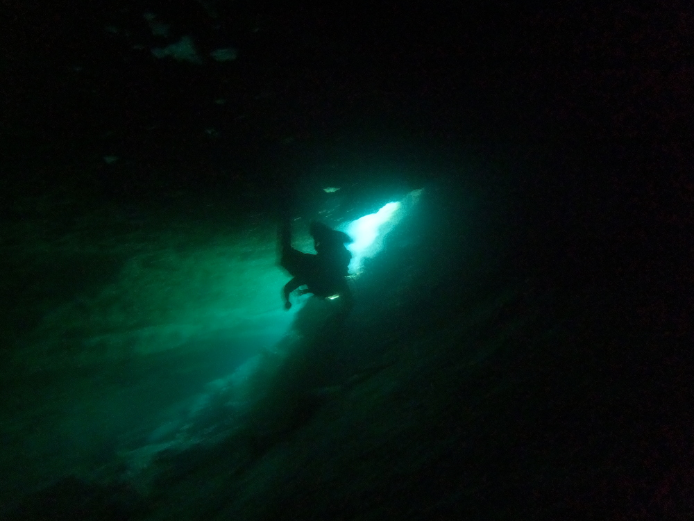 Dayo Scuba Center LLC, Orlando Florida www.dayo.com