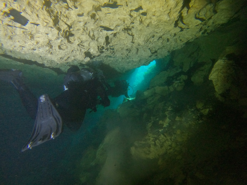 Dayo Scuba Center LLC, Orlando Florida www.dayo.com