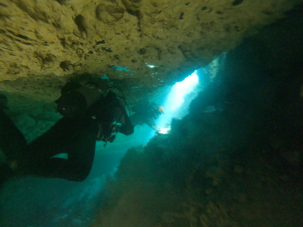 Dayo Scuba Center LLC, Orlando Florida www.dayo.com