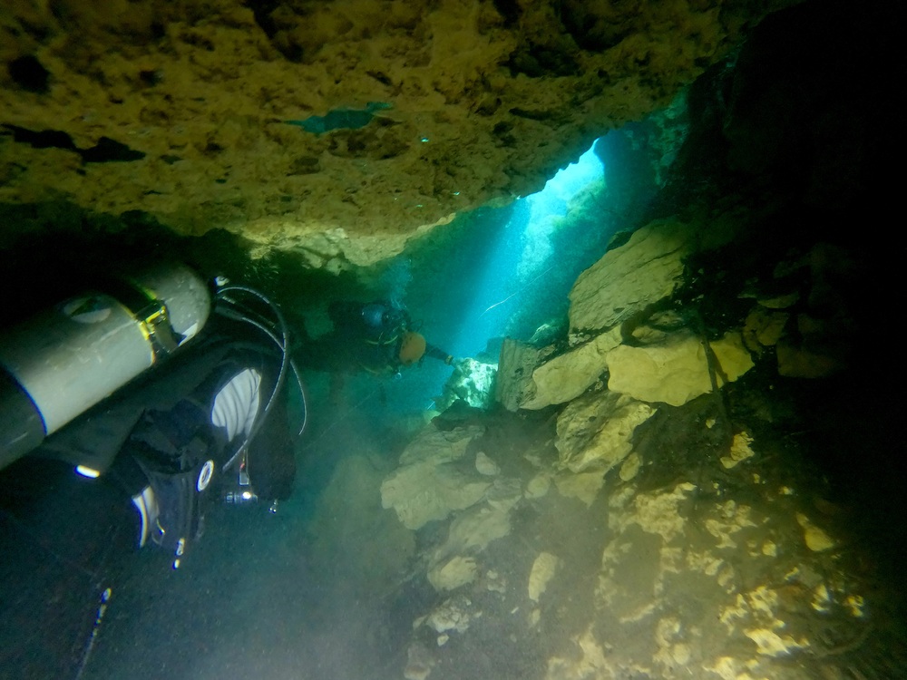 Dayo Scuba Center LLC, Orlando Florida www.dayo.com