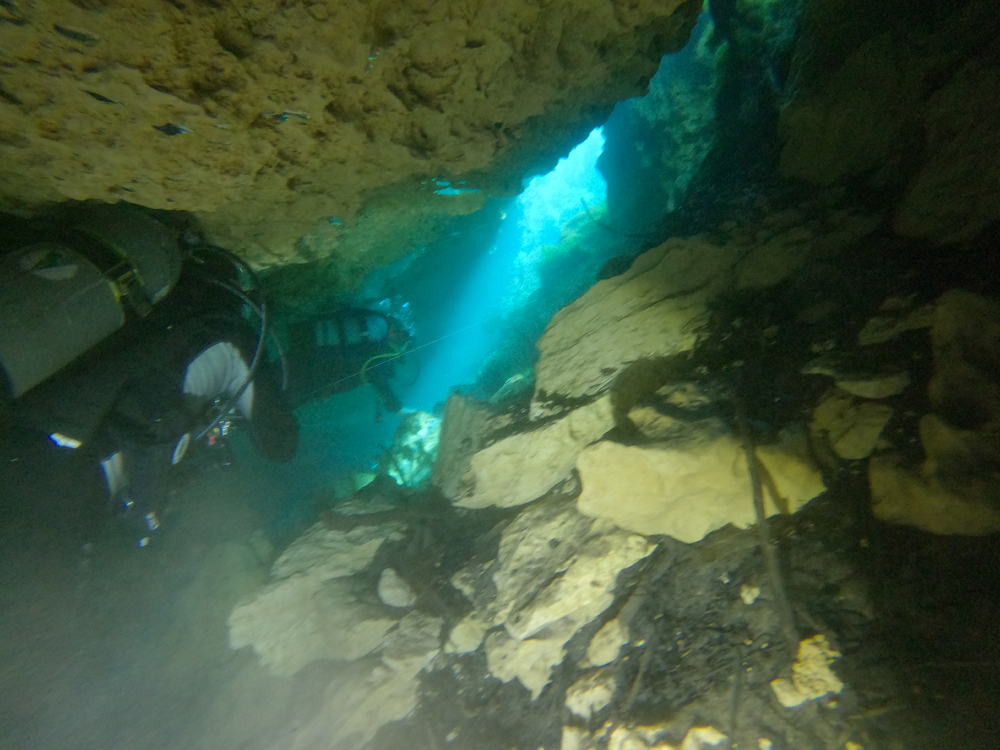 Dayo Scuba Center LLC, Orlando Florida www.dayo.com