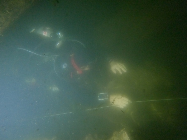 Dayo Scuba Center LLC, Orlando Florida www.dayo.com